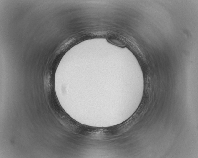 X0000115630116200912081052