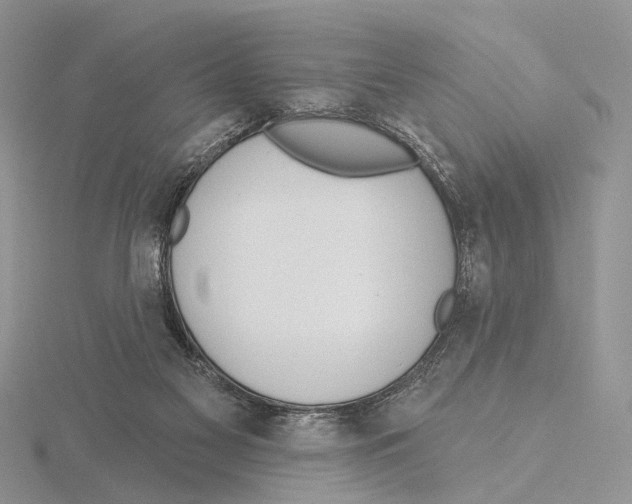 X0000115630117200912081052
