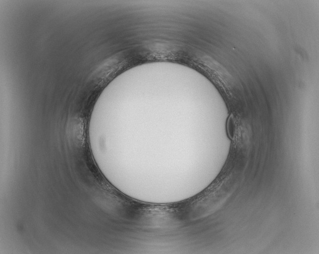 X0000115630121200912081052