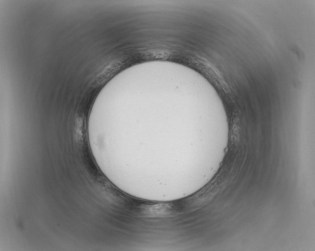 X0000115630122200912081052