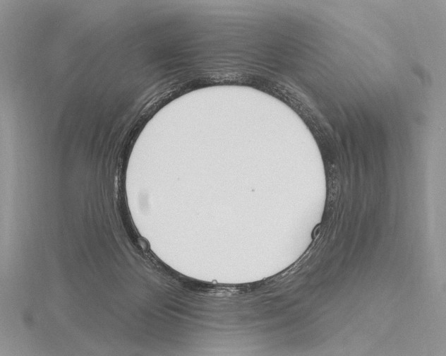 X0000115630124200912081052