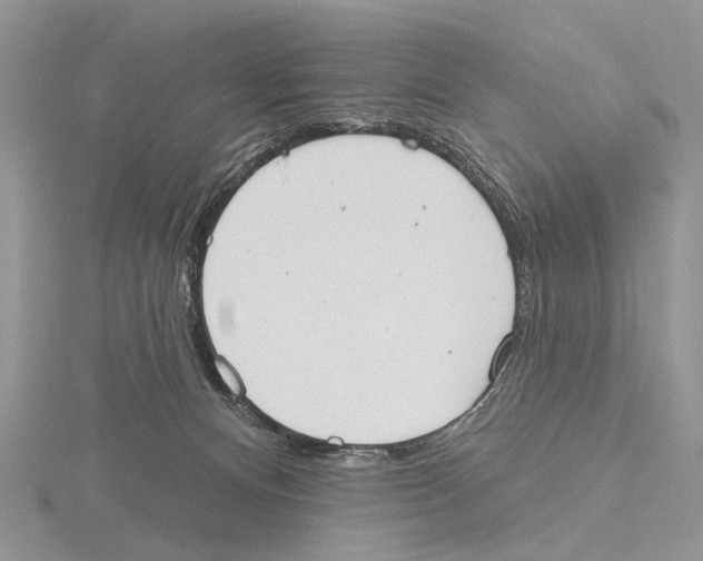 X0000115630128200912081051