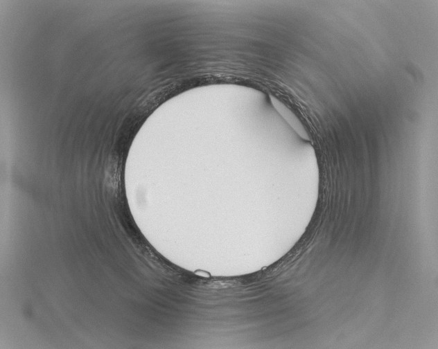 X0000115630129200912081051