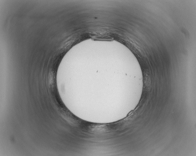 X0000115630132200912081051
