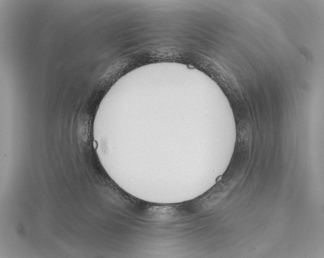 X0000115630133200912081051