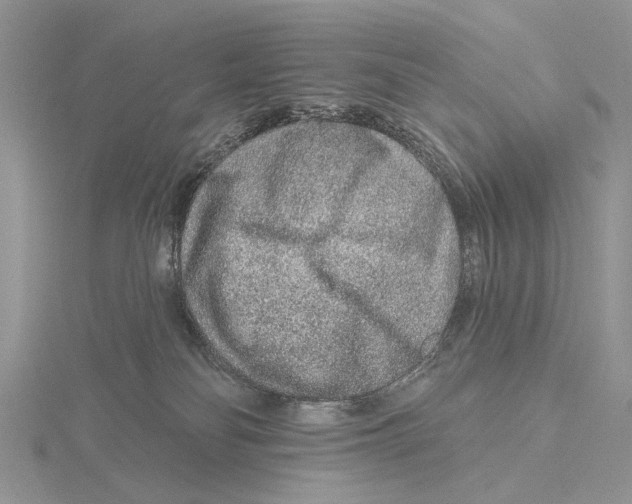 X0000115630134200912081051