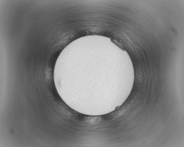 X0000115630135200912081051
