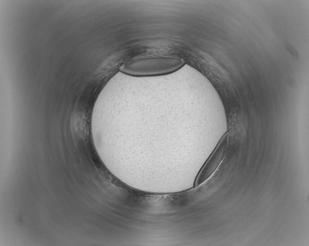 X0000115630136200912081051