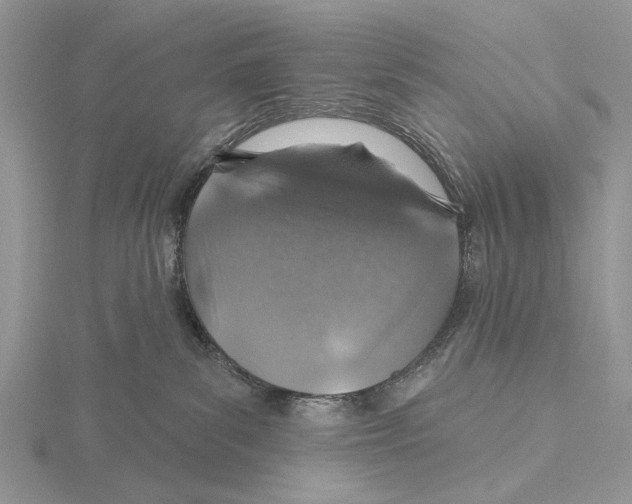 X0000115630139200912081051
