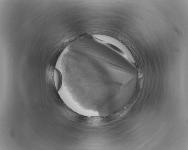 X0000115630143200912081051