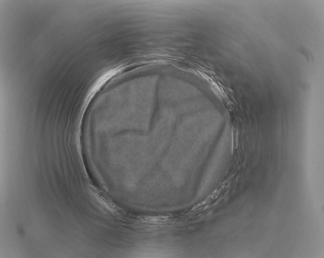 X0000115630147200912081051