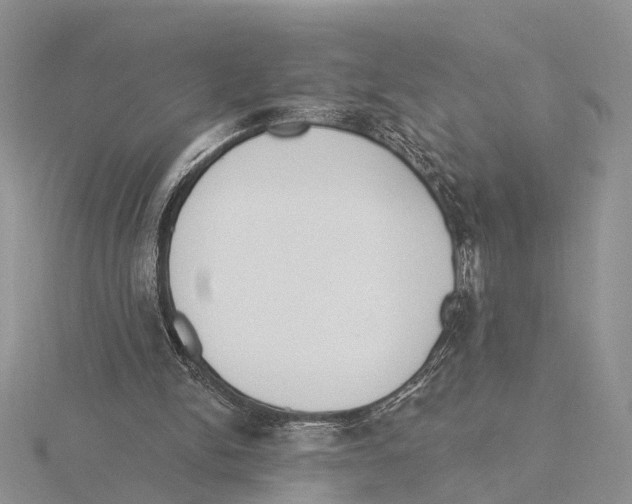 X0000115630150200912081051