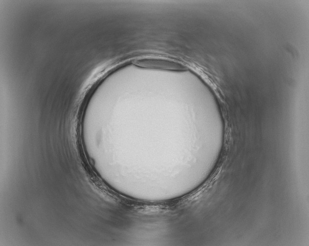 X0000115630151200912081051