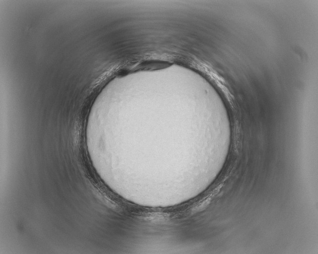 X0000115630153200912081051
