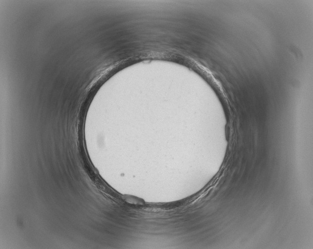 X0000115630154200912081051