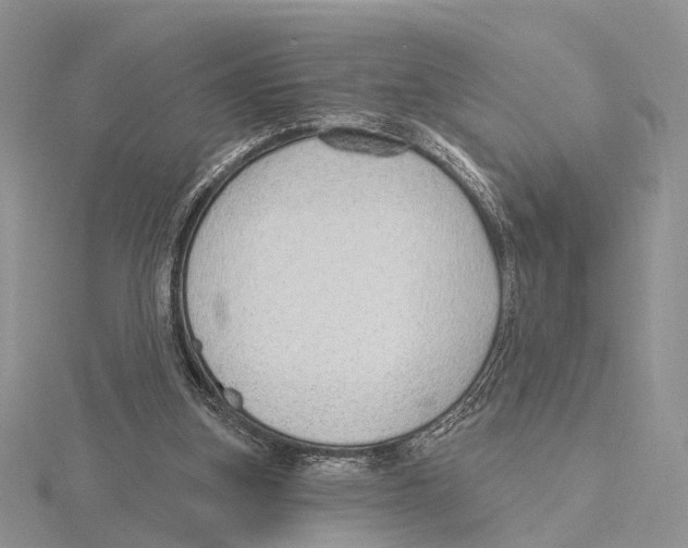 X0000115630155200912081051
