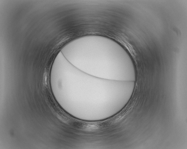 X0000115630157200912081051