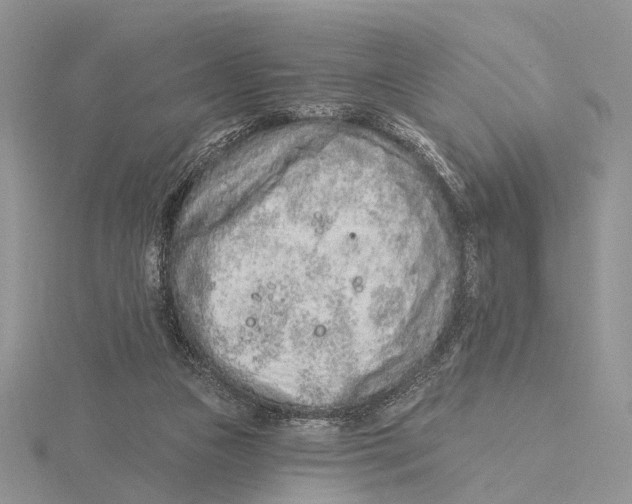 X0000115630161200912081051
