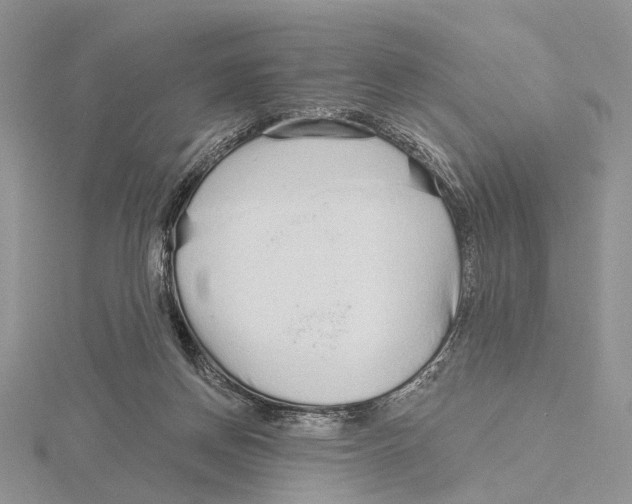 X0000115630166200912081051