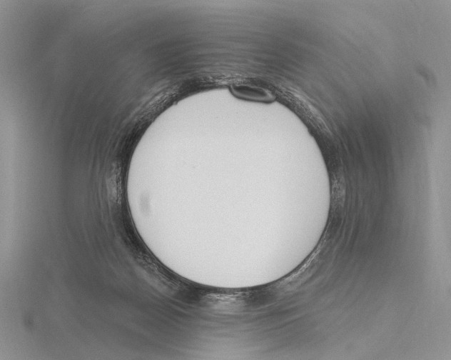 X0000115630170200912081051