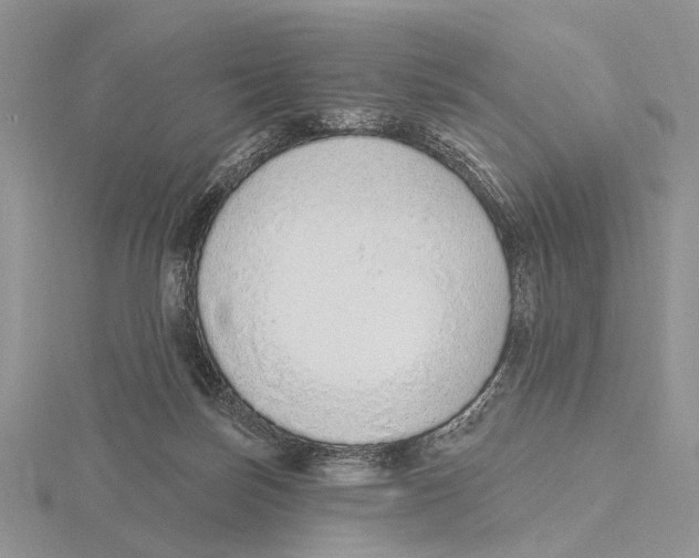 X0000115630171200912081051