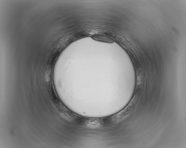 X0000115630175200912081051