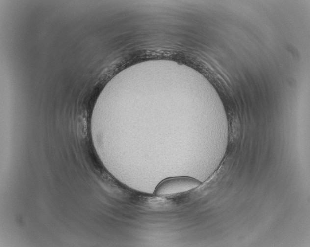 X0000115630183200912081051