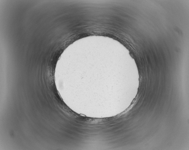 X0000115630186200912081051