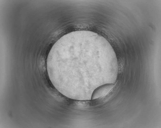 X0000115630187200912081051