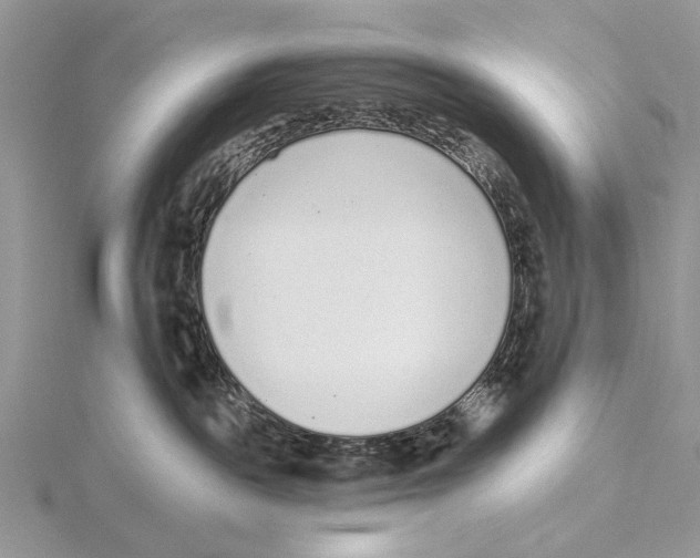 X0000115630189200912081051