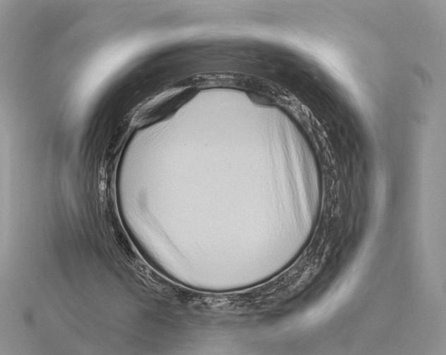 X0000115630194200912081050