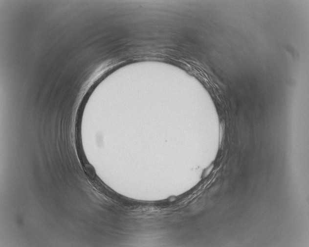 X0000115630195200912081050