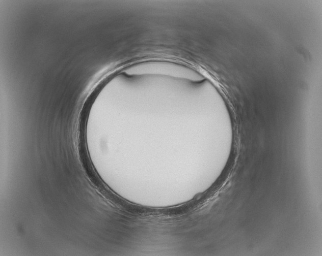 X0000115630199200912081050