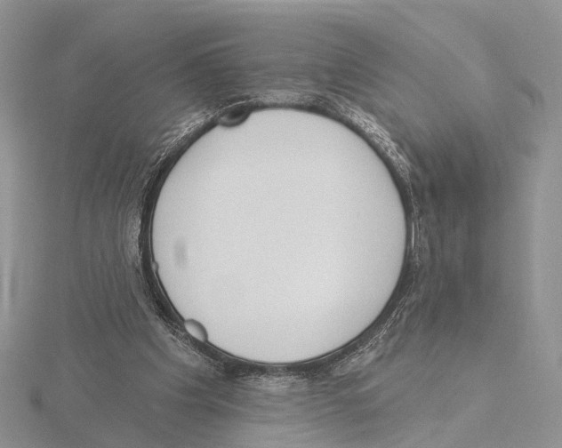 X0000115630201200912081050
