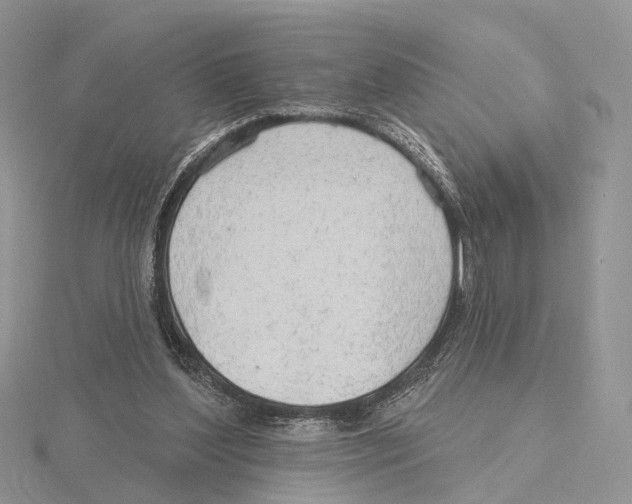 X0000115630204200912081050