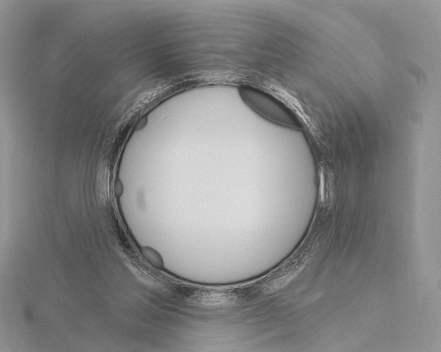 X0000115630205200912081050
