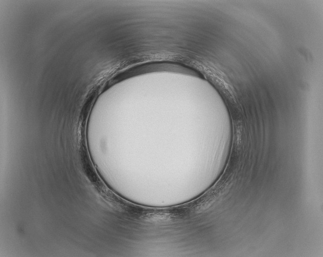 X0000115630206200912081050