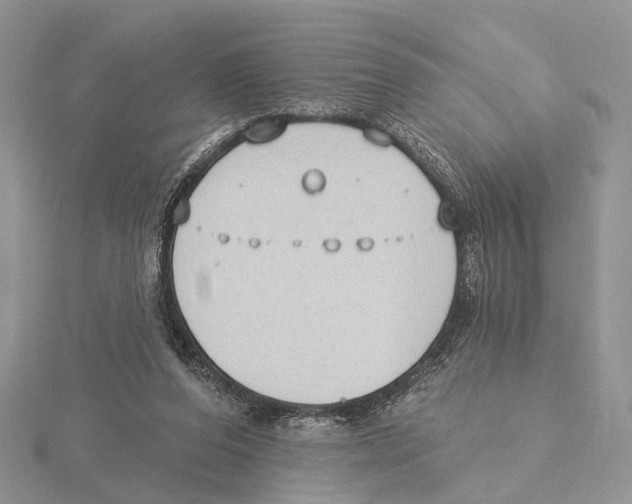 X0000115630208200912081050