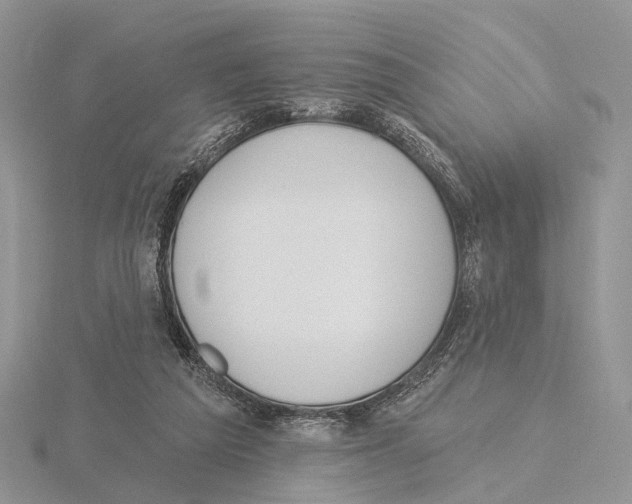 X0000115630209200912081050