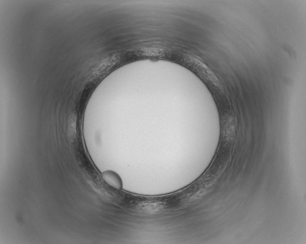 X0000115630213200912081050