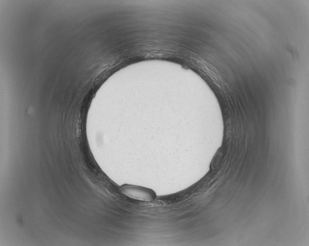 X0000115630215200912081050