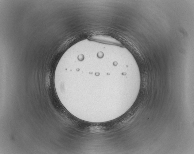 X0000115630216200912081050