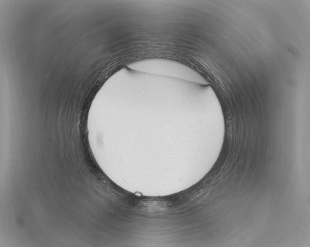 X0000115630221200912081050