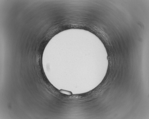X0000115630225200912081050
