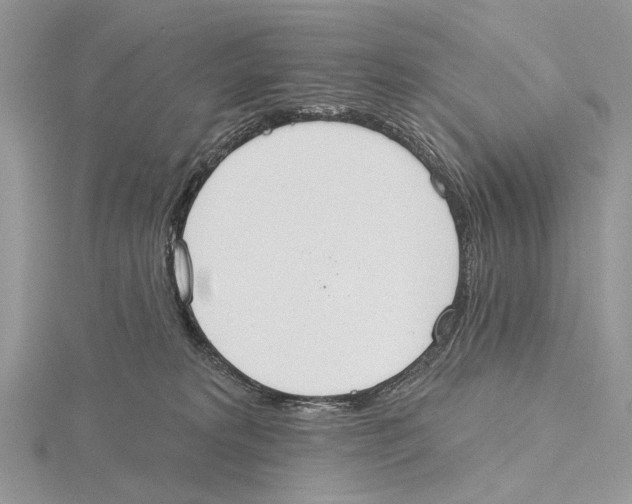 X0000115630229200912081050