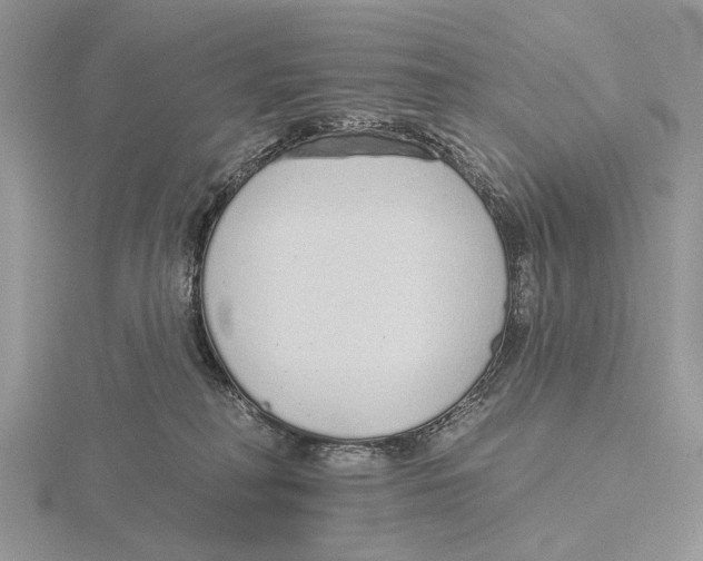 X0000115630230200912081050