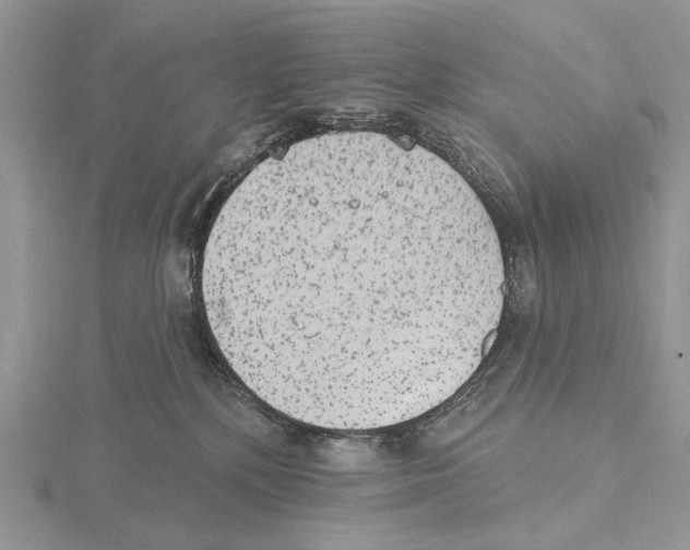 X0000115630232200912081050