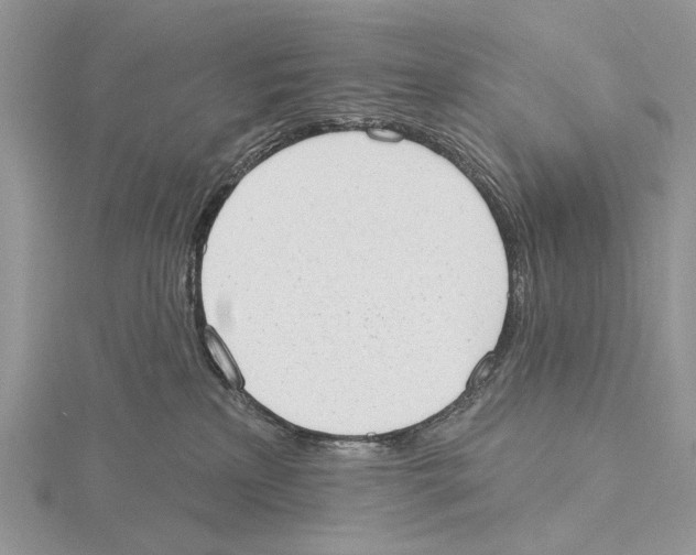 X0000115630233200912081050