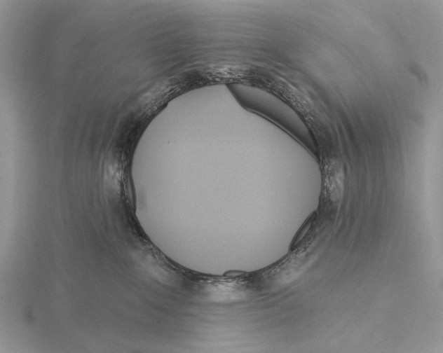 X0000115630235200912081050