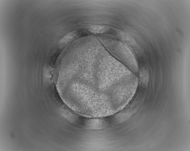X0000115630237200912081050